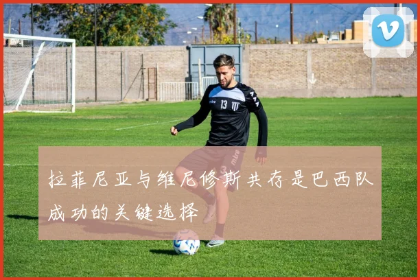拉菲尼亚与维尼修斯共存是巴西队成功的关键选择